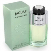 jaguar-performance